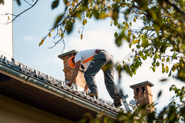 Best Roof Waterproofing Services  in Brier, WA