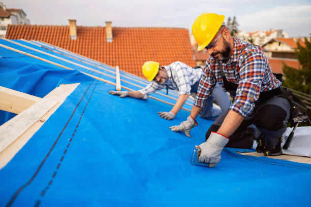 Gutter Installation and Roofing in Brier, WA